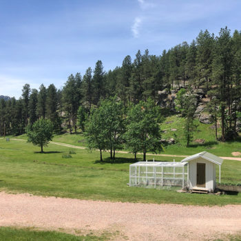 The Hinterwood Valley and chicken coop
